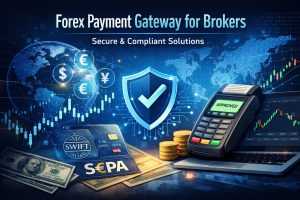 Forex Payment Gateway: Expert Insights for Regulated Forex Brokers